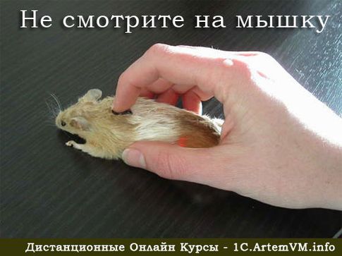 Советы начинающим пользователям ПК (часть 1)
