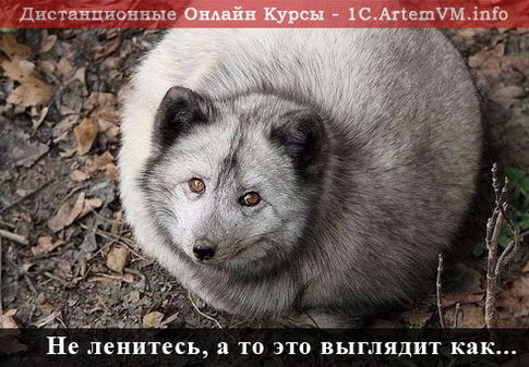 Как убрать рекламу из браузера