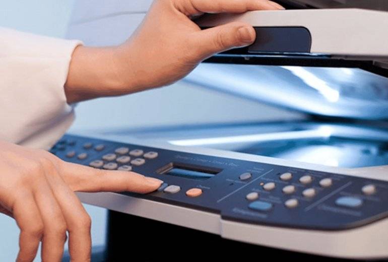 Формат по образцу в Word и Excel