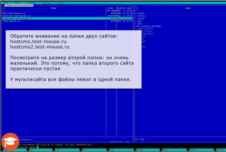 настройка многосайтовости на VDS